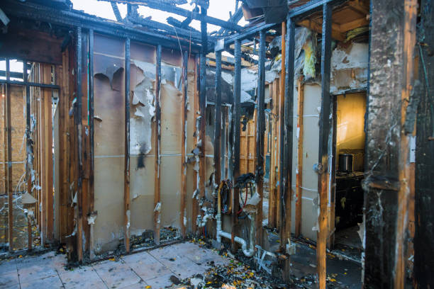 Professional Smoke Damage Removal technician working in Escalon, CA